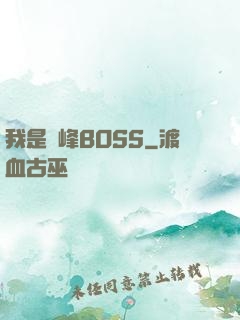 我是巔峰BOSS