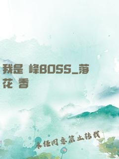 我是巔峰BOSS