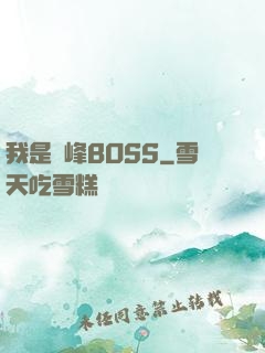 我是巔峰BOSS
