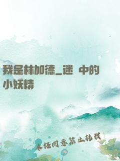 我是林加德