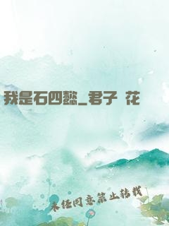 我是石四懿