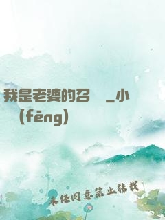 我是老婆的召喚獸