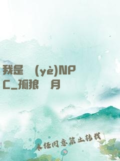 我是職業(yè)NPC