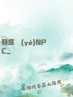 我是職業(yè)NPC