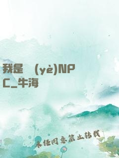 我是職業(yè)NPC