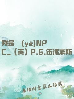 我是職業(yè)NPC