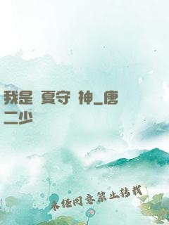 我是華夏守護神