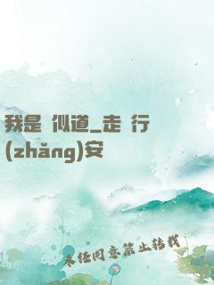我是賈似道