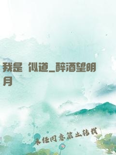 我是賈似道