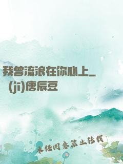 我曾流浪在你心上