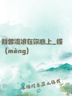 我曾流浪在你心上