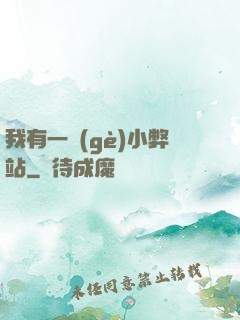 我有一個(gè)小弊站