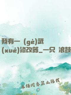 我有一個(gè)武學(xué)修改器