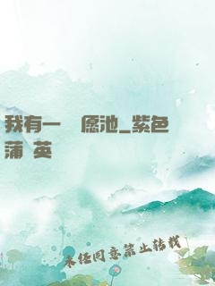 我有一個許愿池