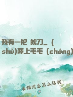 我有一把斬魄刀