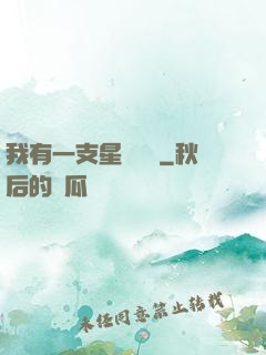 我有一支星際艦隊