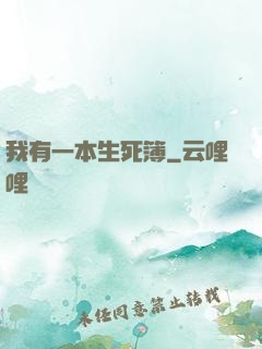 我有一本生死簿