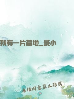 我有一片墓地