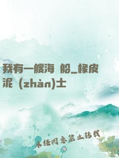 我有一艘海盜船