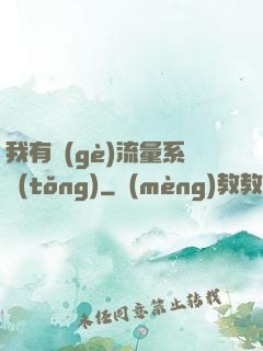 我有個(gè)流量系統(tǒng)