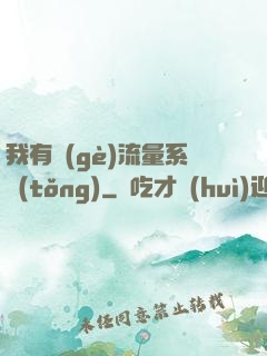 我有個(gè)流量系統(tǒng)