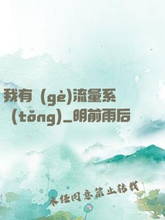 我有個(gè)流量系統(tǒng)