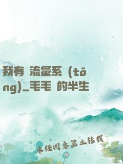 我有個流量系統(tǒng)