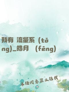 我有個流量系統(tǒng)