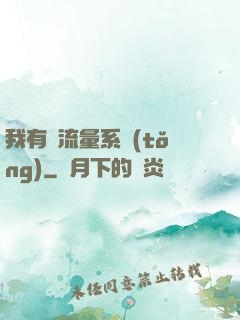 我有個流量系統(tǒng)