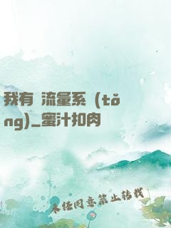 我有個流量系統(tǒng)