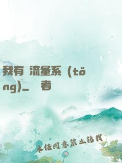 我有個流量系統(tǒng)