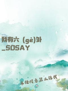 我有六個(gè)外掛
