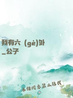 我有六個(gè)外掛