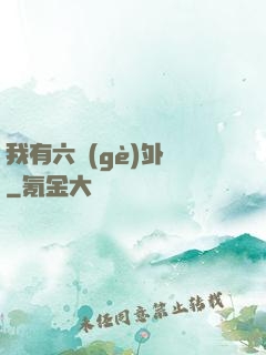 我有六個(gè)外掛