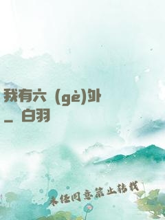 我有六個(gè)外掛