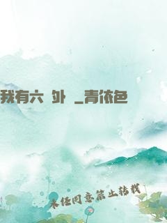 我有六個外掛