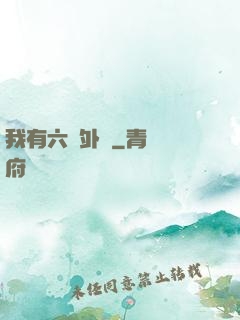 我有六個外掛