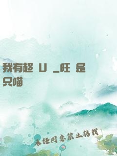 我有超體U盤