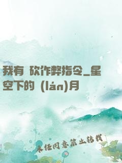 我有騎砍作弊指令