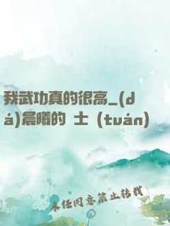 我武功真的很高