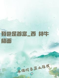 我爸是首富