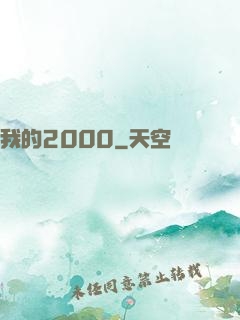 我的2000