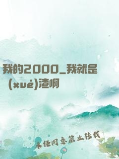 我的2000