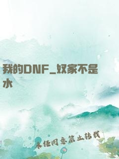 我的DNF