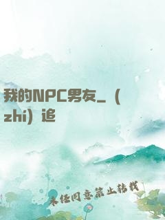 我的NPC男友