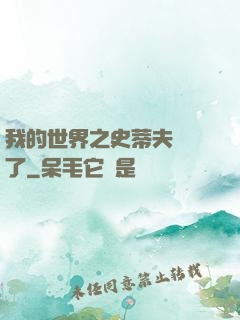 我的世界之史蒂夫無敵了