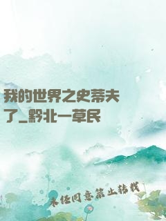 我的世界之史蒂夫無敵了