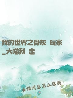 我的世界之骨灰級玩家