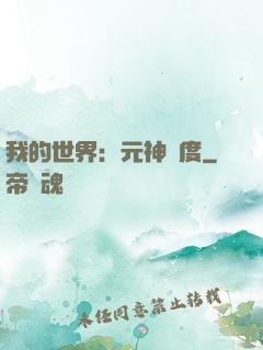 我的世界：元神國度