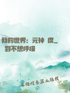我的世界：元神國度